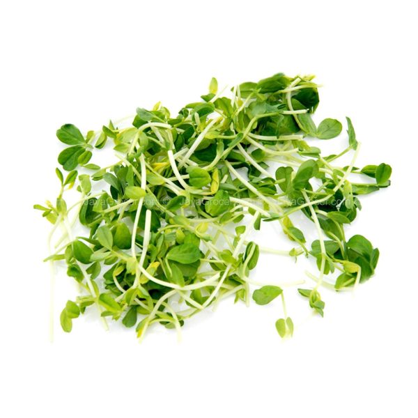 Cameron Garden Pea Sprout (Malaysia) 200g Sale