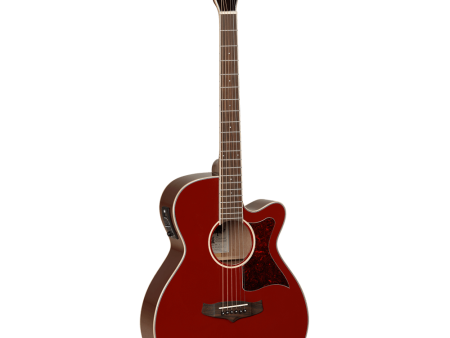 Tanglewood Winterleaf Series: TW4R Sale