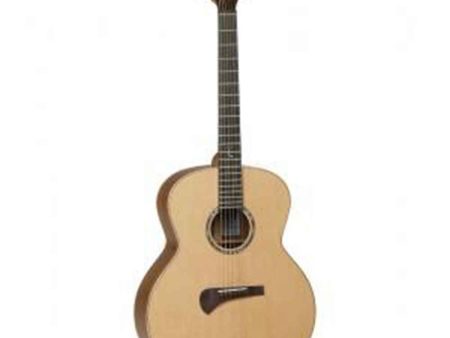 Tanglewood Electro-Acoustic Guitar Master Design: TSM 3 Hot on Sale