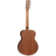 Tanglewood Winterleaf Series: TW12 Online Hot Sale