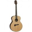 Tanglewood Electro-Acoustic Guitar Master Design: TSR 3 For Cheap