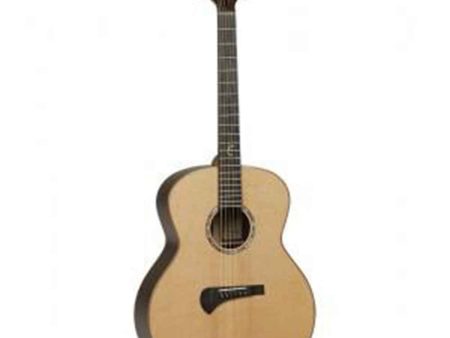 Tanglewood Electro-Acoustic Guitar Master Design: TSR 3 For Cheap