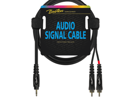 Boston AC276 3.5MM AUX - 2 x RCA Online