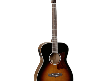 Tanglewood Acoustic Guitar Sundance Pro: TW70 VS Cheap