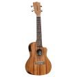 Tanglewood Concert Ukulele TWT16E For Cheap