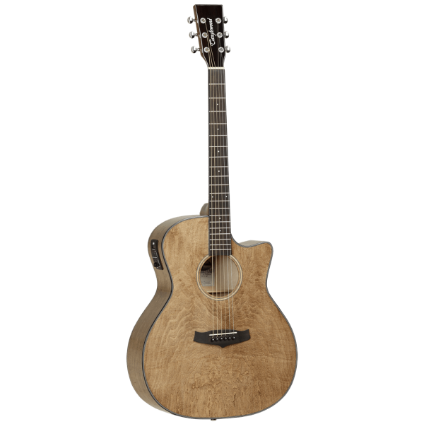 Tanglewood Acoustic Guitar,  Evolution Exotic: TVC X MP Discount