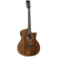 Tanglewood Acoustic Guitar,  Evolution Exotic: TVC X PW Fashion