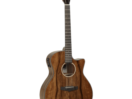 Tanglewood Acoustic Guitar,  Evolution Exotic: TVC X PW Fashion