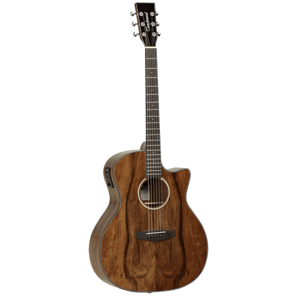 Tanglewood Acoustic Guitar,  Evolution Exotic: TVC X PW Fashion