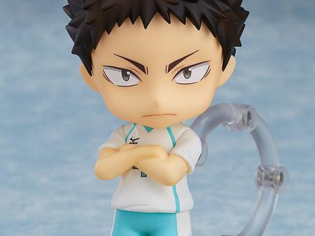 Haikyu!!: 699 Iwaizumi Hajime Nendoroid Online