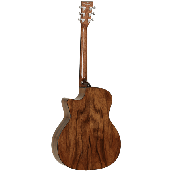 Tanglewood Acoustic Guitar,  Evolution Exotic: TVC X PW Fashion