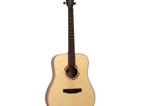 Tanglewood TS5 Dreadnought Acoustic Guitar For Sale